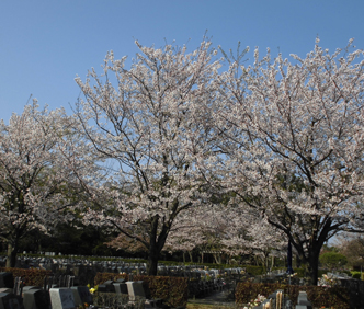 特徴1　宗教宗派問わずイメージ