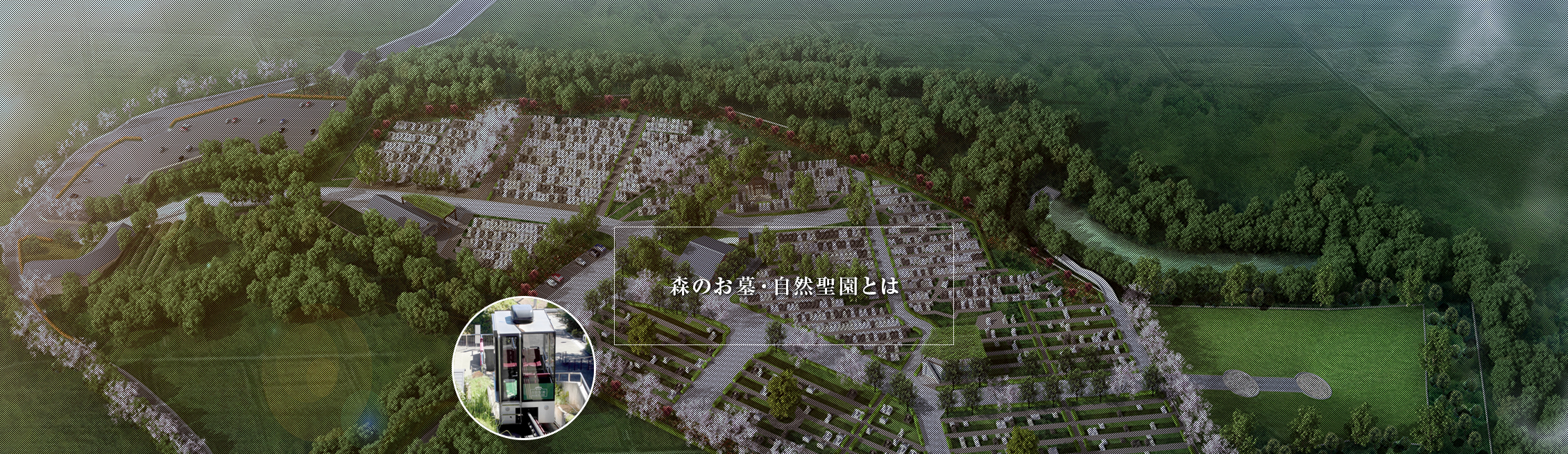 森のお墓・自然聖園とは