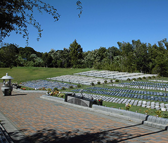 自然葬イメージ