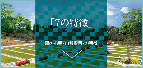 「7の特徴」森のお墓・自然聖園7の特徴