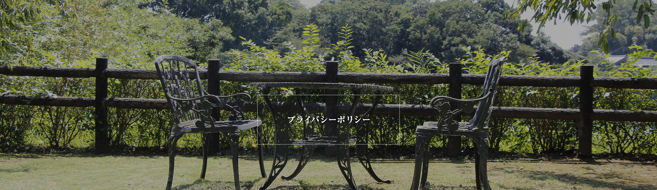 プライバシーポリシー